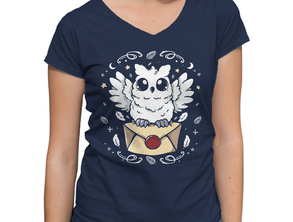 The Magic Owl