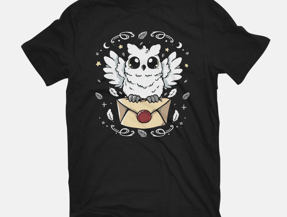 The Magic Owl