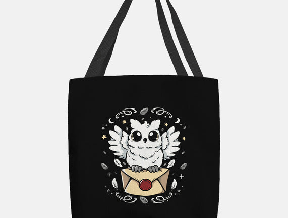 The Magic Owl