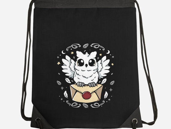 The Magic Owl