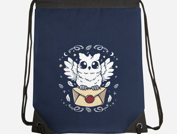 The Magic Owl