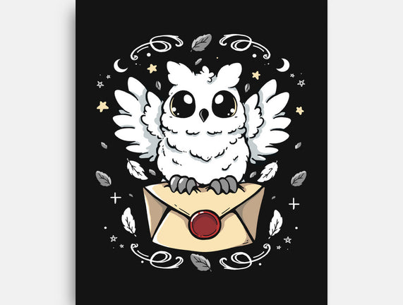 The Magic Owl