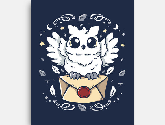 The Magic Owl
