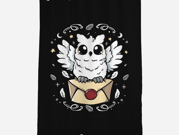 The Magic Owl