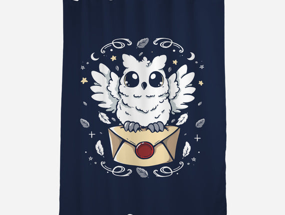 The Magic Owl