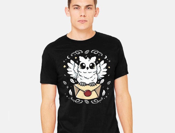 The Magic Owl