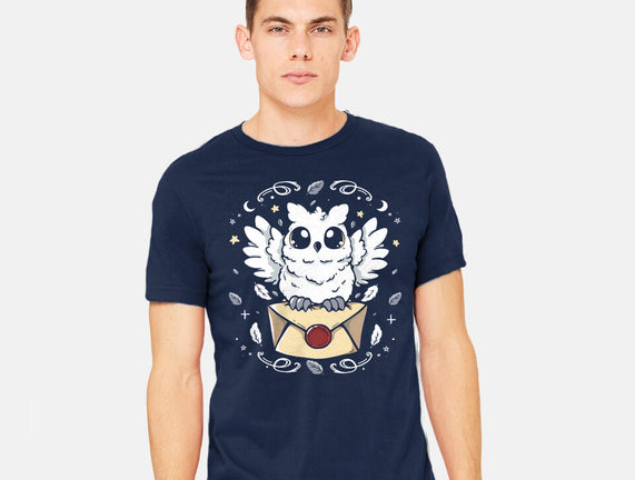 The Magic Owl