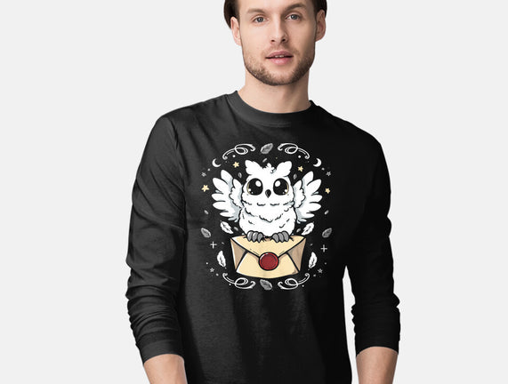 The Magic Owl