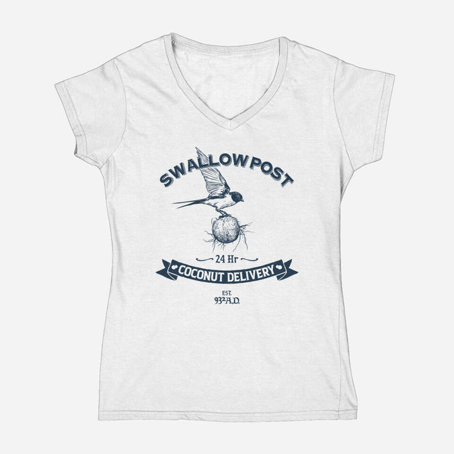 Swallow Post-Womens-V-Neck-Tee-drbutler