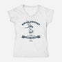 Swallow Post-Womens-V-Neck-Tee-drbutler