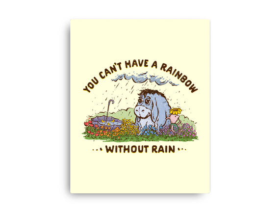 Rain And Rainbows