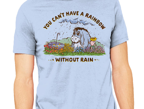 Rain And Rainbows