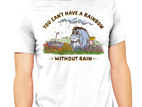 Rain And Rainbows