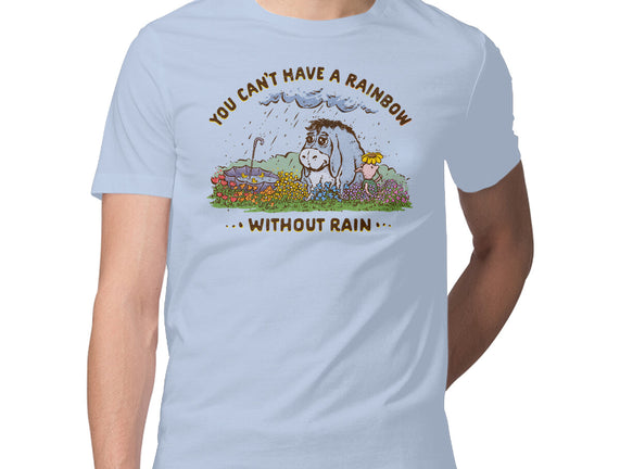 Rain And Rainbows