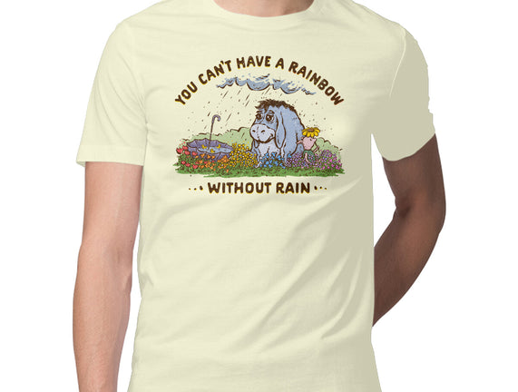 Rain And Rainbows
