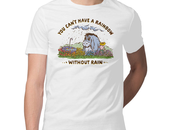 Rain And Rainbows