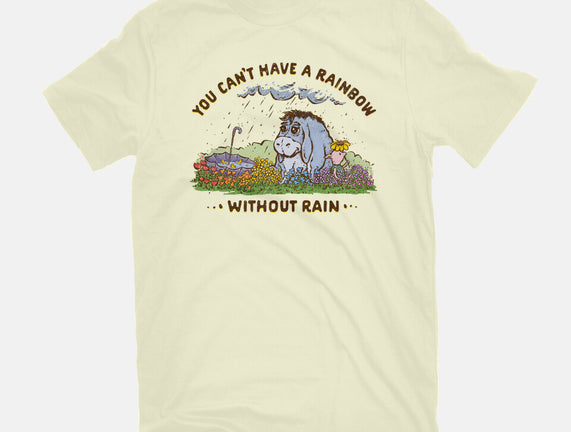 Rain And Rainbows