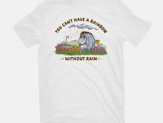 Rain And Rainbows