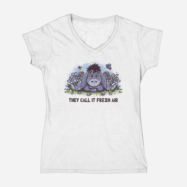 Allergic Donkey-Womens-V-Neck-Tee-retrodivision