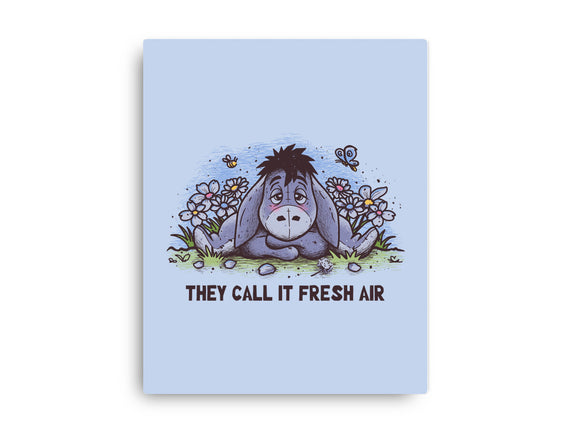 Allergic Donkey