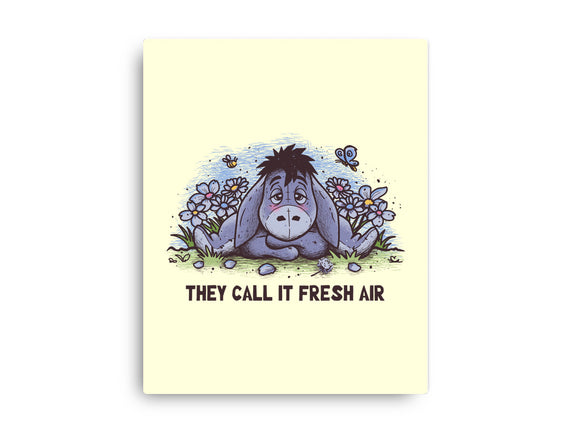 Allergic Donkey