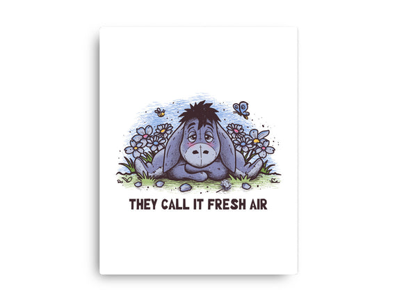 Allergic Donkey