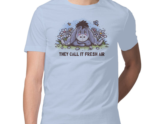 Allergic Donkey