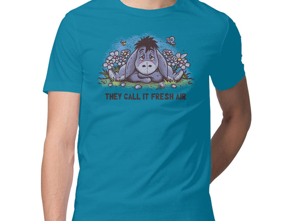 Allergic Donkey