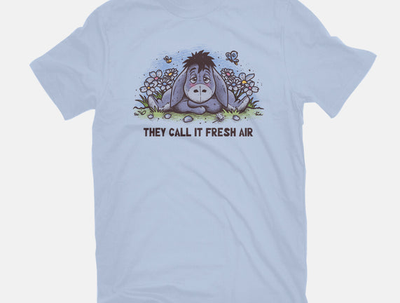 Allergic Donkey