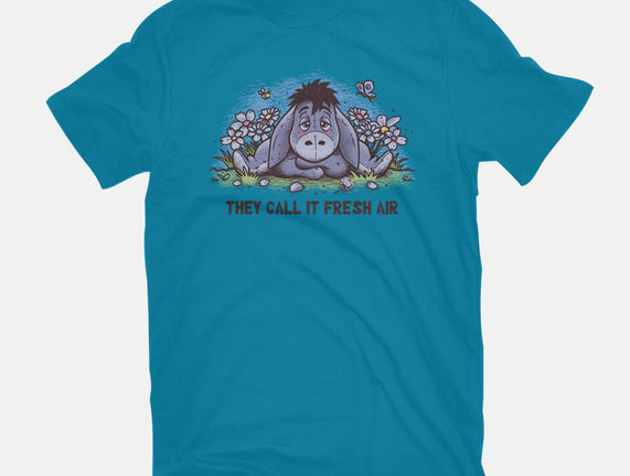 Allergic Donkey