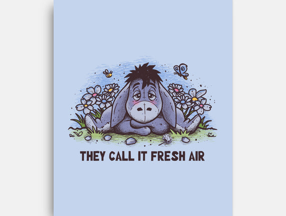Allergic Donkey