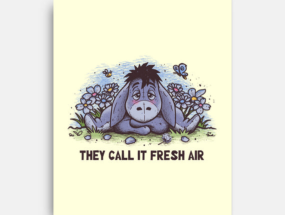 Allergic Donkey