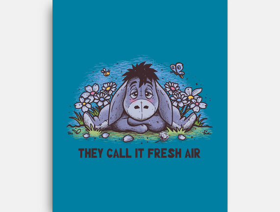 Allergic Donkey
