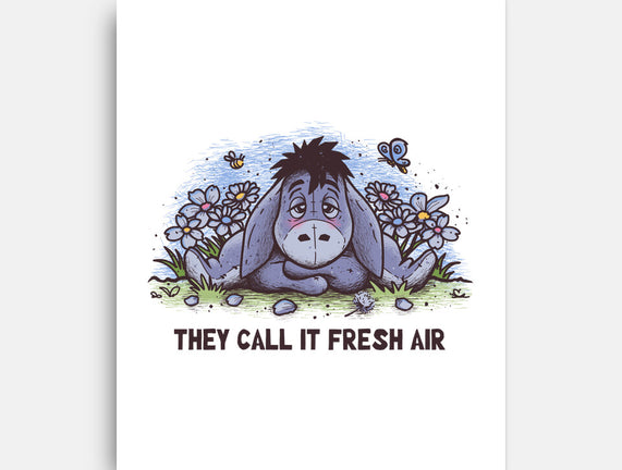 Allergic Donkey