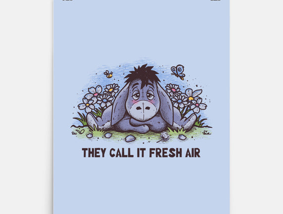 Allergic Donkey