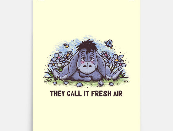 Allergic Donkey