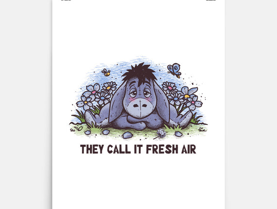 Allergic Donkey