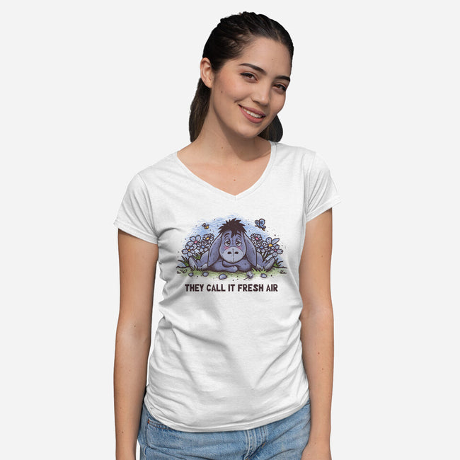 Allergic Donkey-Womens-V-Neck-Tee-retrodivision