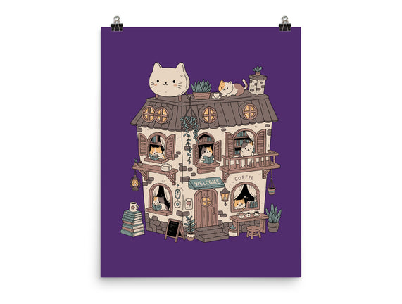 Cat Reading Club