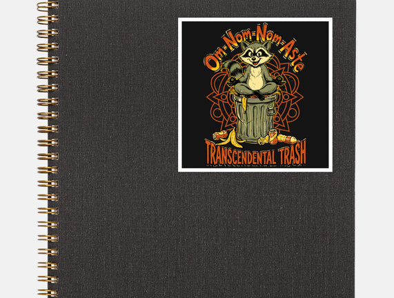 Transcendental Trash