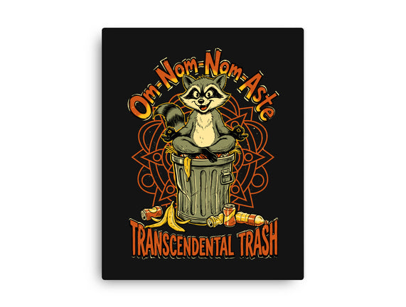 Transcendental Trash