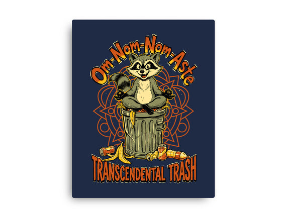 Transcendental Trash
