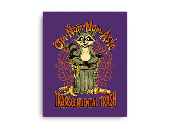 Transcendental Trash