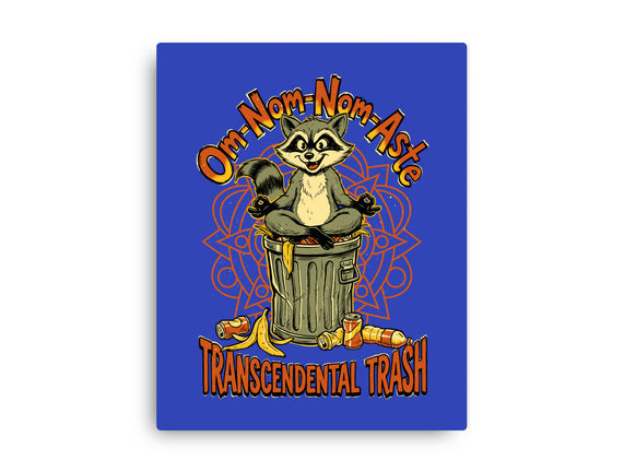 Transcendental Trash