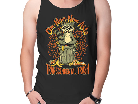 Transcendental Trash