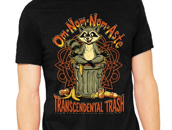 Transcendental Trash