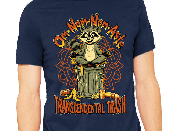 Transcendental Trash