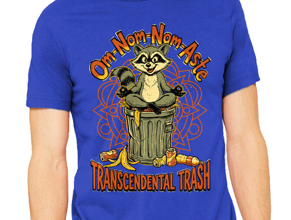 Transcendental Trash