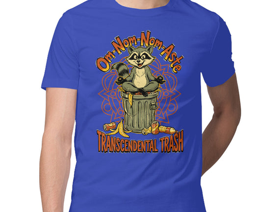 Transcendental Trash
