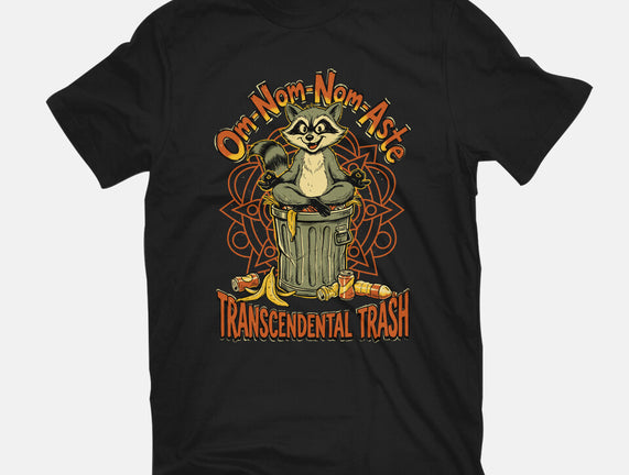 Transcendental Trash